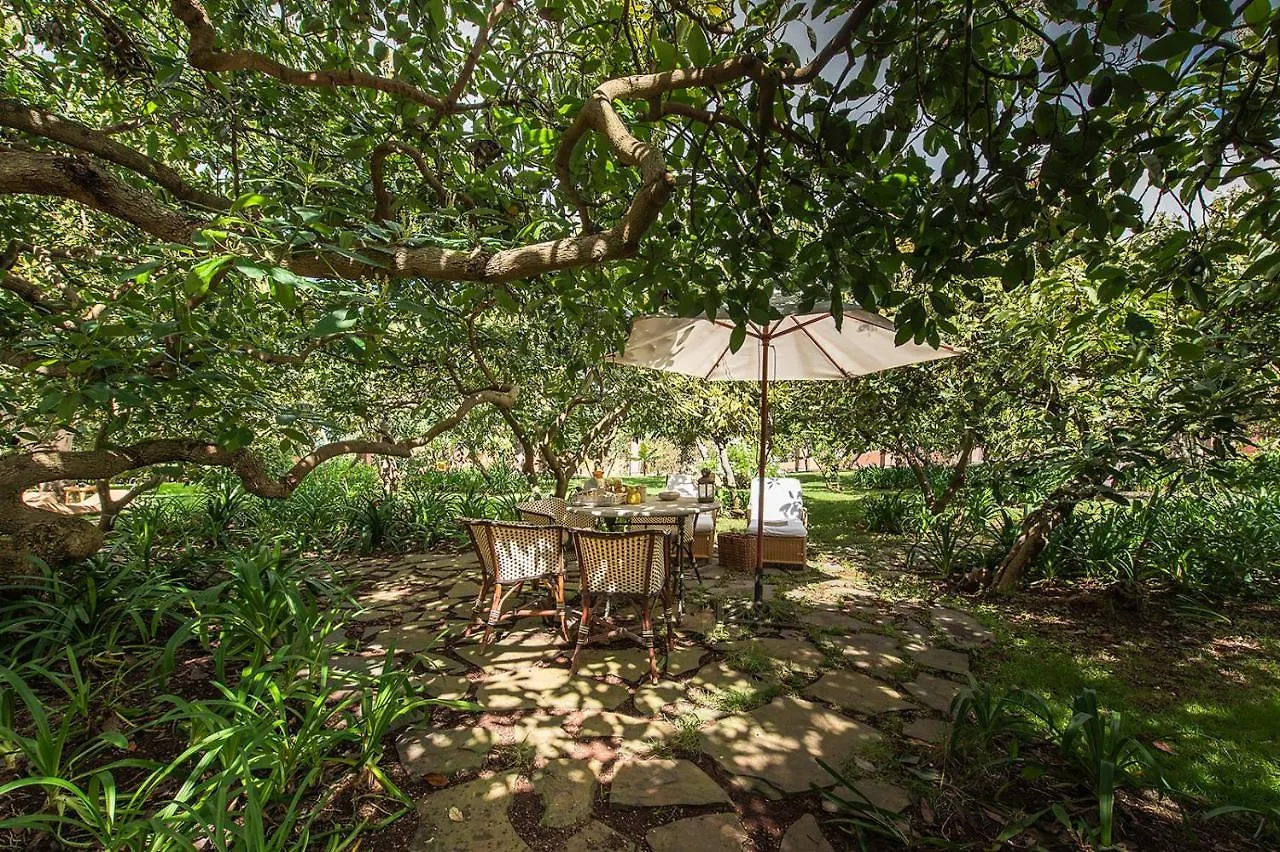 Homeforguest Rural House With Garden El Laurel Tacoronte 0*,  Spain
