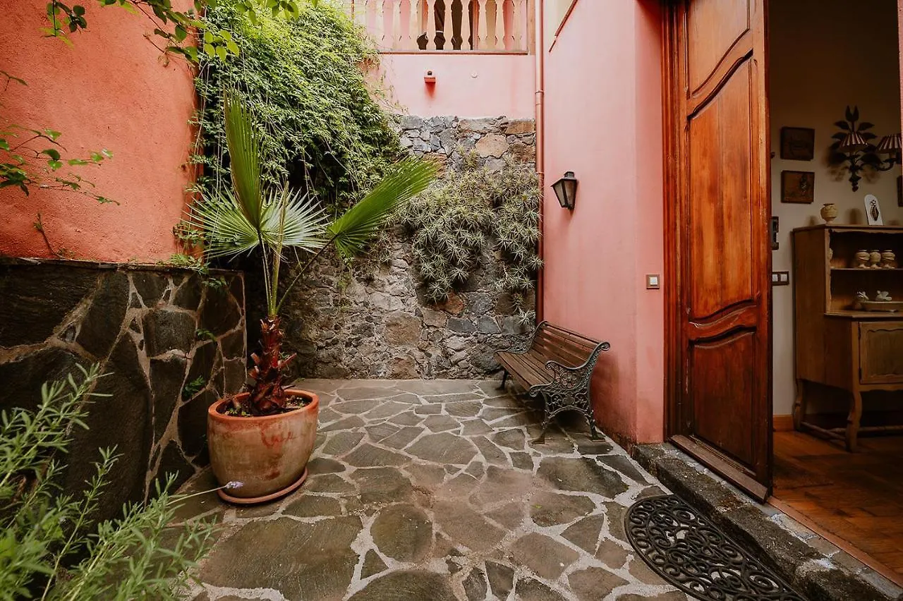 Homeforguest Rural House With Garden El Laurel Tacoronte Spain