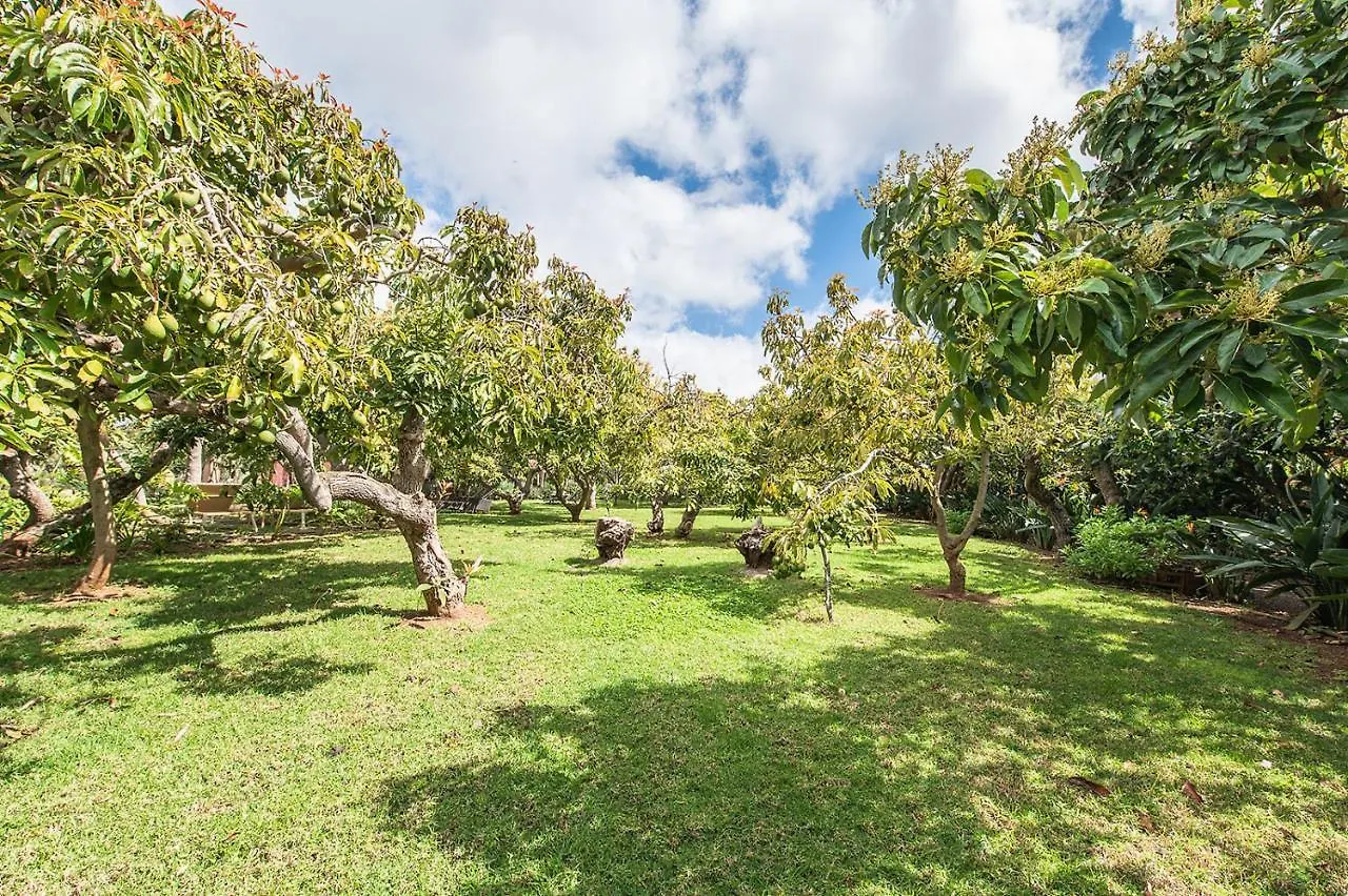 Homeforguest Rural House With Garden El Laurel Tacoronte Apartment