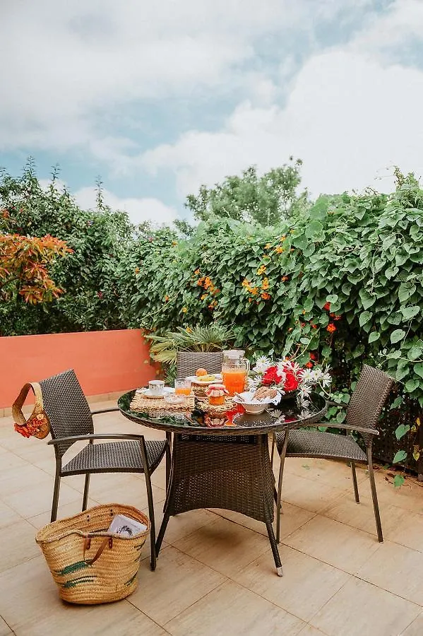 Homeforguest Rural House With Garden El Laurel Tacoronte