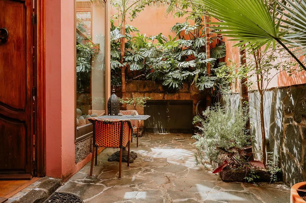Apartment Homeforguest Rural House With Garden El Laurel Tacoronte