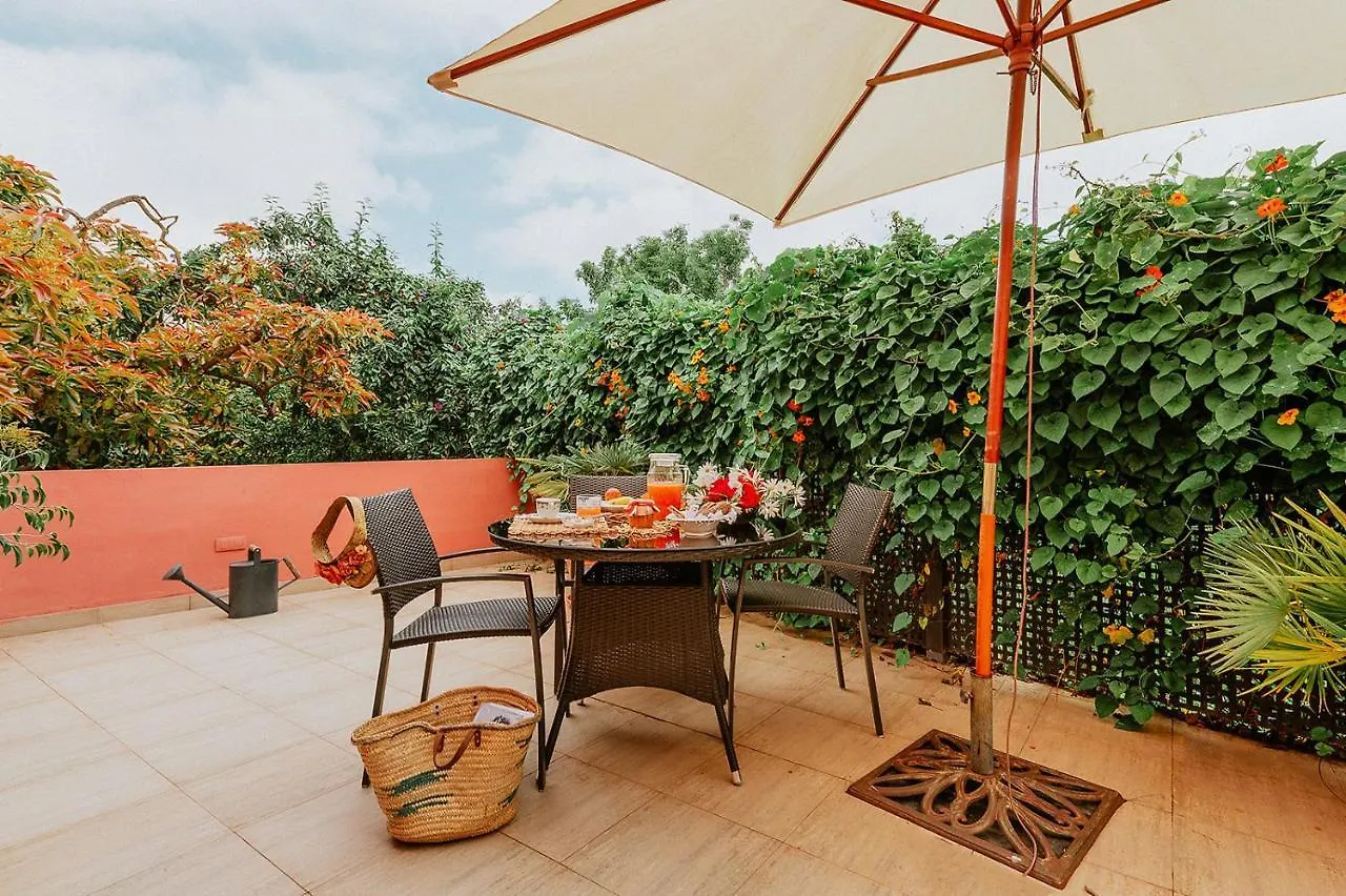 Homeforguest Rural House With Garden El Laurel Tacoronte Spain