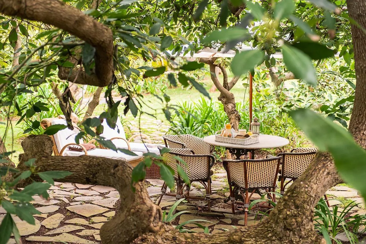 Homeforguest Rural House With Garden El Laurel Tacoronte Apartment