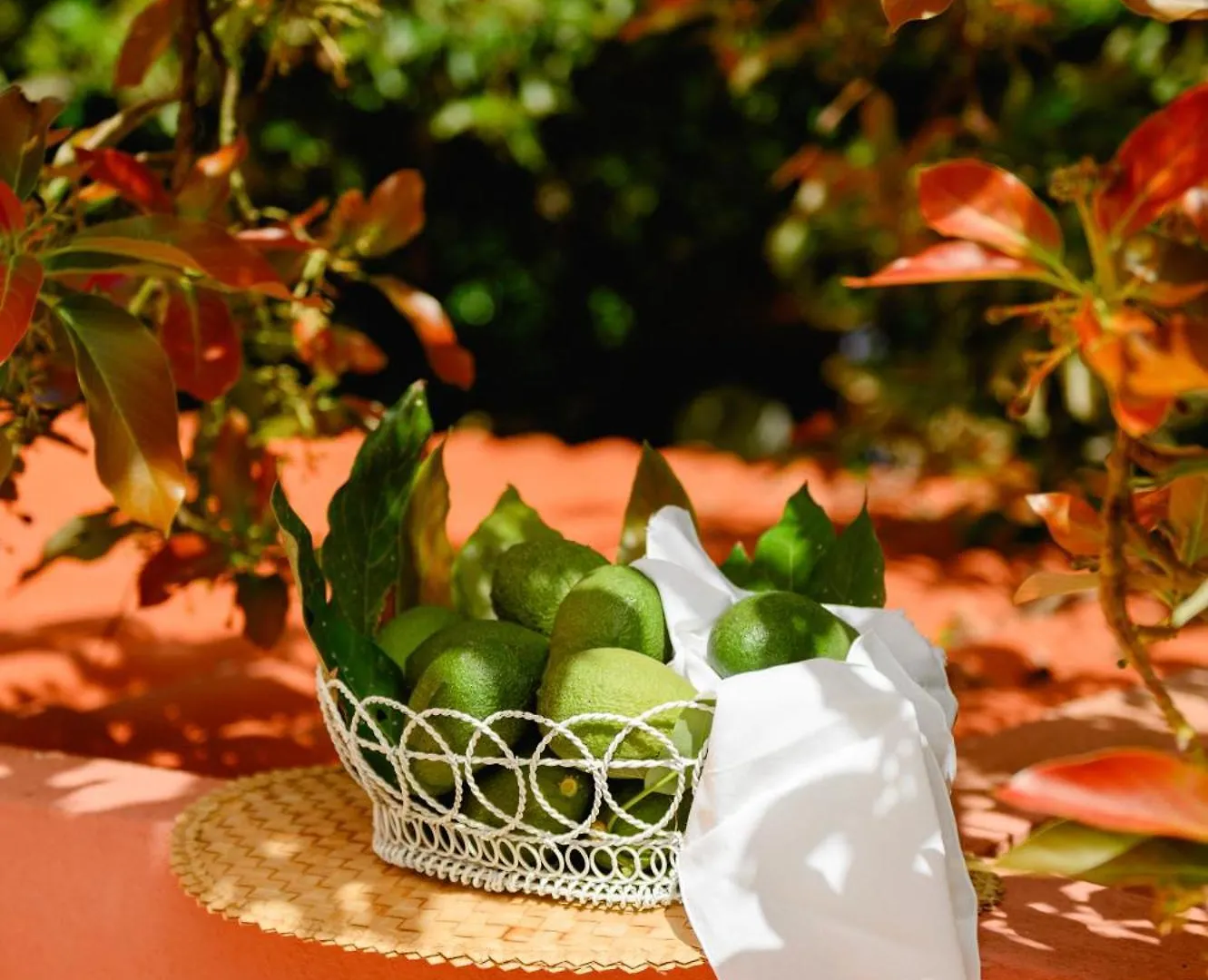 Homeforguest Rural House With Garden El Laurel Tacoronte Spain