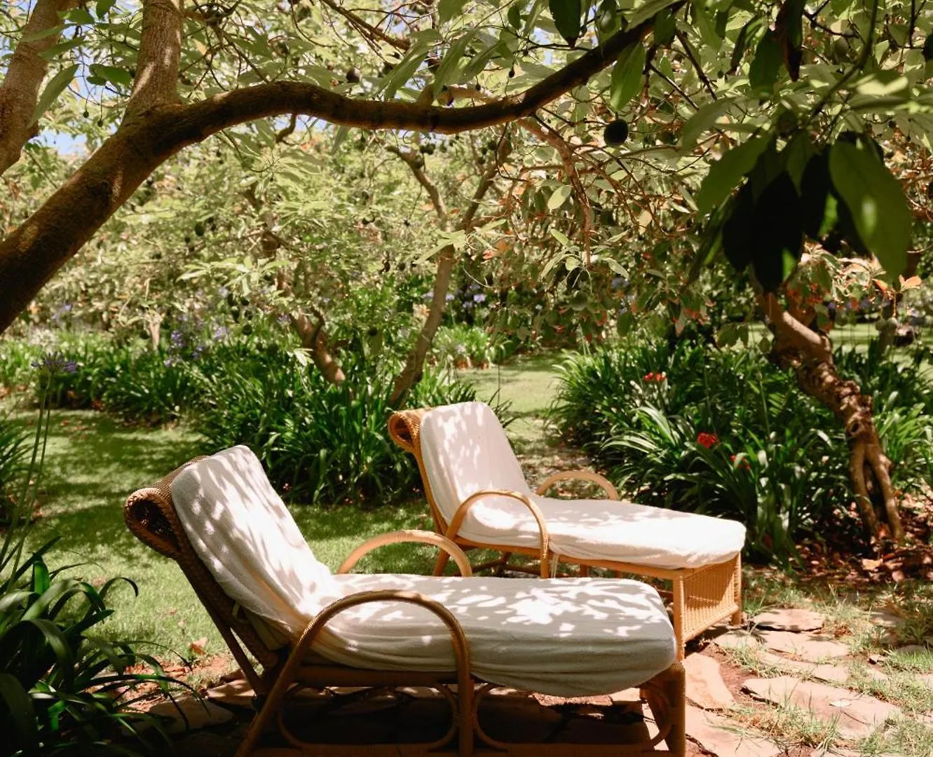 Apartment Homeforguest Rural House With Garden El Laurel Tacoronte
