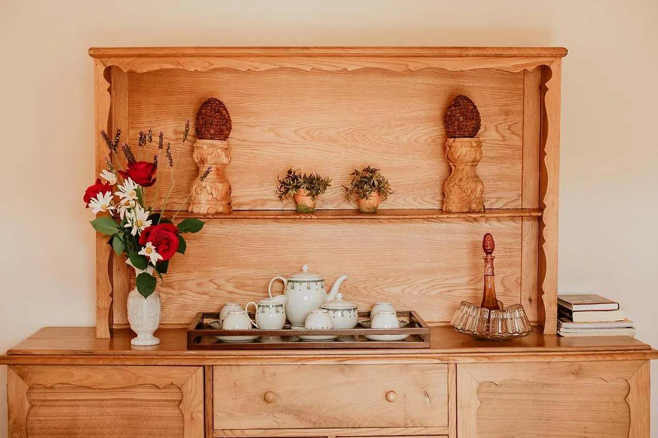 Appartamento Homeforguest Rural House With Garden El Laurel Tacoronte