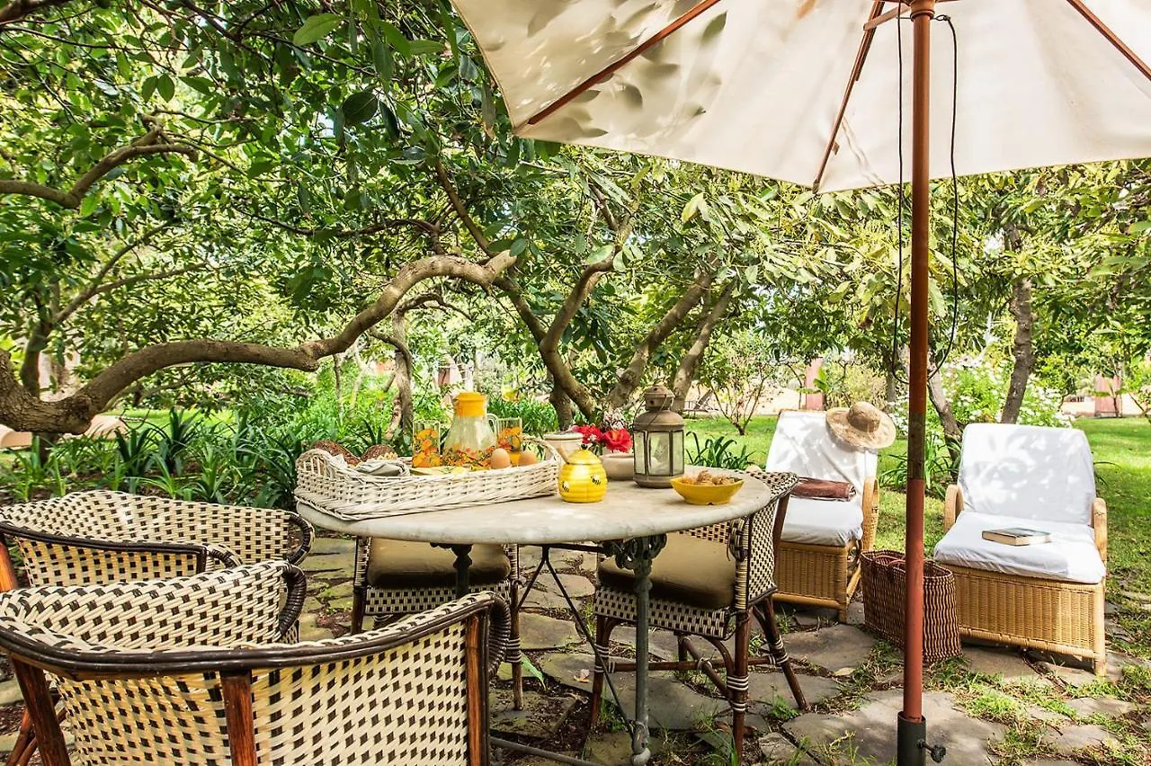 Homeforguest Rural House With Garden El Laurel Tacoronte Appartamento